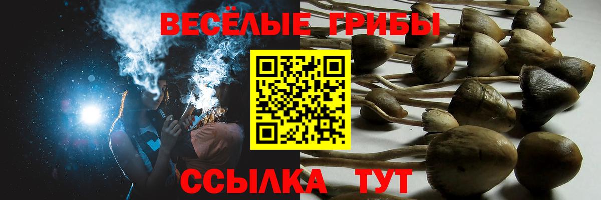 Галлюциногенные грибы GOLDEN TEACHER Домодедово